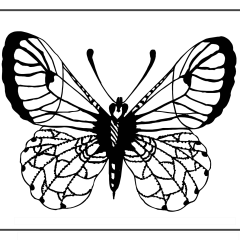 Butterfly-Coloring-Pages-for-Kids-adults-Free-Printable-Image_95