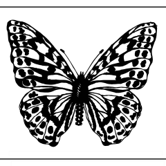 Butterflies_Coloring_Pages_01-proper-105