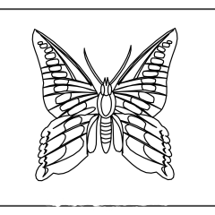 Butterfly-Coloring-Pages-for-Kids-adults-Free-Printable-Image