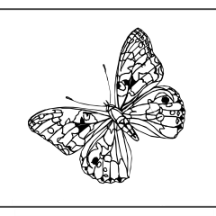 Butterfly-Coloring-Pages-for-Kids-adults-Free-Printable-Image_1