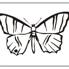 Butterfly-Coloring-Pages-for-Kids-adults-Free-Printable-Image_73