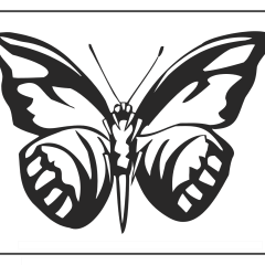 Butterfly-Coloring-Pages-for-Kids-adults-Free-Printable-Image_75