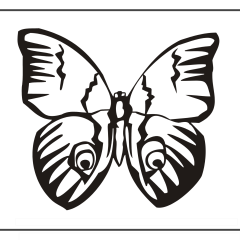 Butterfly-Coloring-Pages-for-Kids-adults-Free-Printable-Image_80