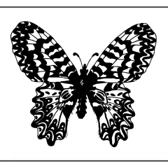 Butterfly-Coloring-Pages-for-Kids-adults-Free-Printable-Image_87