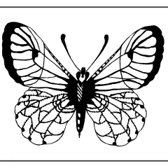 Butterfly-Coloring-Pages-for-Kids-adults-Free-Printable-Image_90