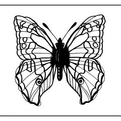 Butterfly-Coloring-Pages-for-Kids-adults-Free-Printable-Image_92