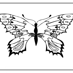 Butterfly-Coloring-Pages-for-Kids-adults-Free-Printable-Image_93