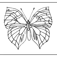 Butterfly-Coloring-Pages-for-Kids-adults-Free-Printable-Image_11