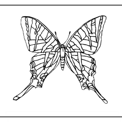 Butterfly-Coloring-Pages-for-Kids-adults-Free-Printable-Image_8