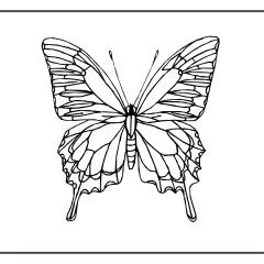 Butterfly-Coloring-Pages-for-Kids-adults-Free-Printable-Image_18