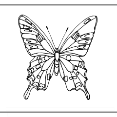 Butterfly-Coloring-Pages-for-Kids-adults-Free-Printable-Image_19