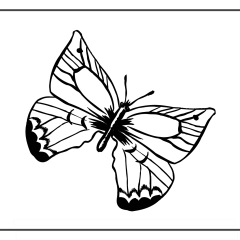 Butterfly-Coloring-Pages-for-Kids-adults-Free-Printable-Image_24