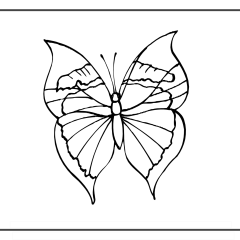 Butterfly-Coloring-Pages-for-Kids-adults-Free-Printable-Image_25