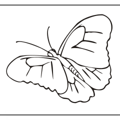 Butterfly-Coloring-Pages-for-Kids-adults-Free-Printable-Image_27