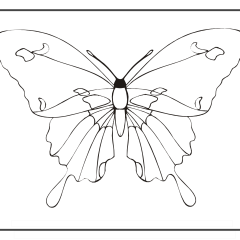 Butterfly-Coloring-Pages-for-Kids-adults-Free-Printable-Image_35