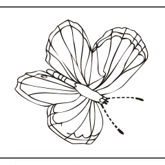 Butterfly-Coloring-Pages-for-Kids-adults-Free-Printable-Image_50