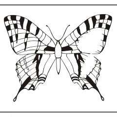 Butterfly-Coloring-Pages-for-Kids-adults-Free-Printable-Image_51