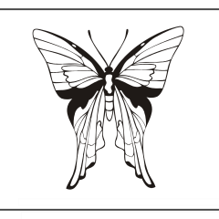 Butterfly-Coloring-Pages-for-Kids-adults-Free-Printable-Image_53