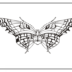 Butterfly-Coloring-Pages-for-Kids-adults-Free-Printable-Image_63