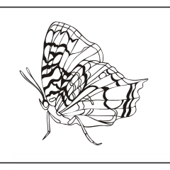 Butterfly-Coloring-Pages-for-Kids-adults-Free-Printable-Image_58