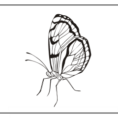 Butterfly-Coloring-Pages-for-Kids-adults-Free-Printable-Image_59