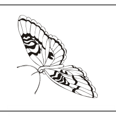 Butterfly-Coloring-Pages-for-Kids-adults-Free-Printable-Image_61