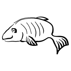 FISH-COLORING-PAGE-FOR-KIDS-FREE_1