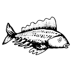 FISH-COLORING-PAGE-FOR-KIDS-FREE_18